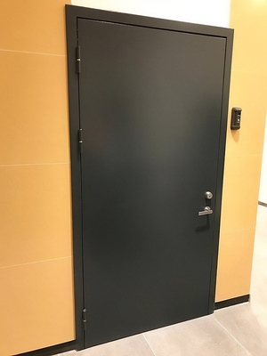 Дверь черного цвета