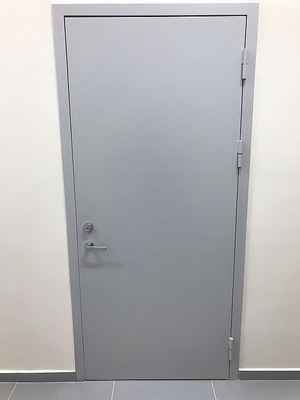 Одностворчатая глухая дверь