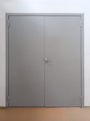 Дверь двупольной конструкции