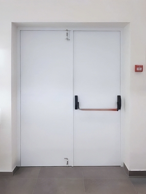 Двупольная дверь с ручкой-перекладиной Двупольная дверь с ручкой-перекладиной