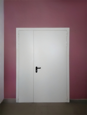 Стальная пожаростойкая дверь Стальная пожаростойкая дверь