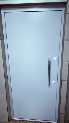 Стальная взломостойкая дверь