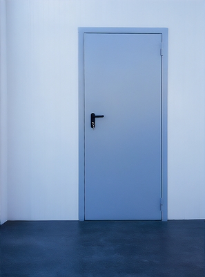 Огнезащитная стальная дверь