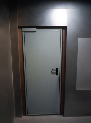Глухая огнезащитная дверь