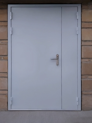 Полуторная глухая дверь