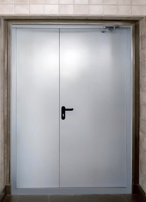 Огнеустойчивая полуторная дверь