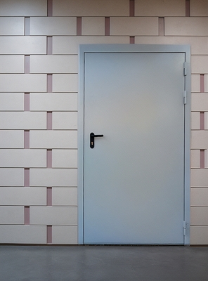 Глухая огнеупорная дверь