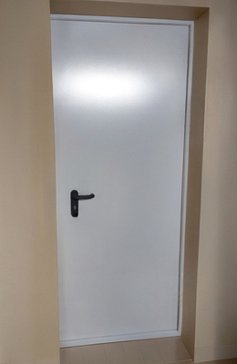 Глухая однопольная дверь