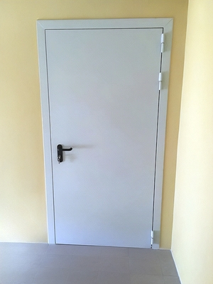 Стандартная огнестойкая дверь