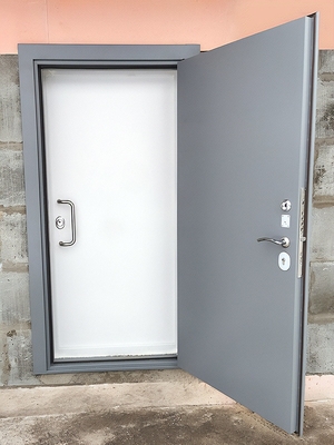 Двойная металлическая дверь