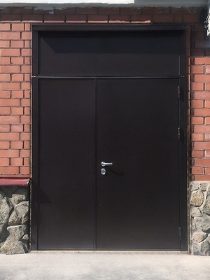 Дверь со сплошными вставками