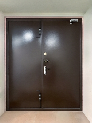 Коричневая двупольная дверь