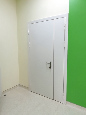 Полуторная глухая дверь Полуторная глухая дверь