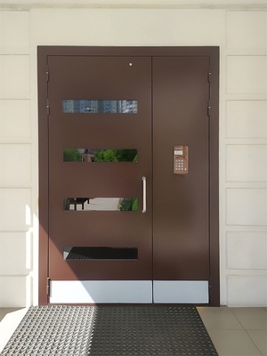 Дверь с отбойником и стеклом