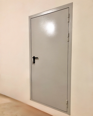 Дверь однопольной конструкции