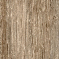 Дуб венецианский Дуб венецианский