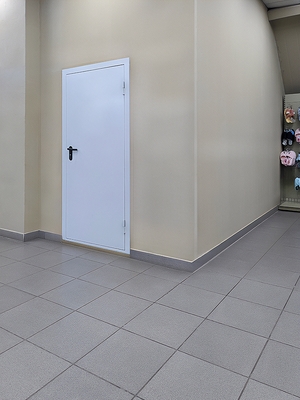 Дверь однопольной конструкции