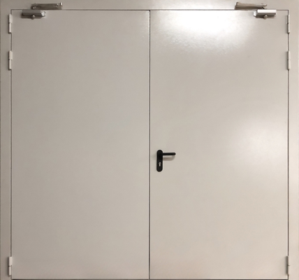 Двупольная дымогазонепроницаемая дверь ДПМ eis-60