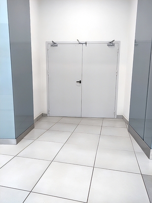 Двустворчатая дверь с доводчиками Двустворчатая дверь с доводчиками