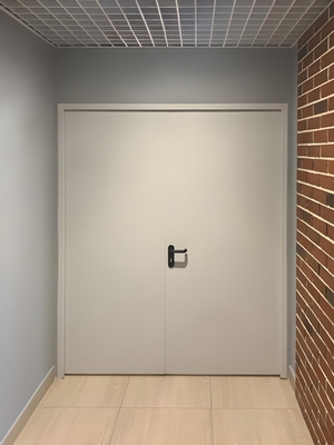 Глухая огнеупорная дверь Глухая огнеупорная дверь