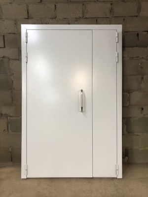 Глухая полуторная дверь