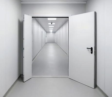 Глухая полуторная дверь Глухая полуторная дверь