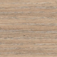 Дуб альпако Дуб альпако