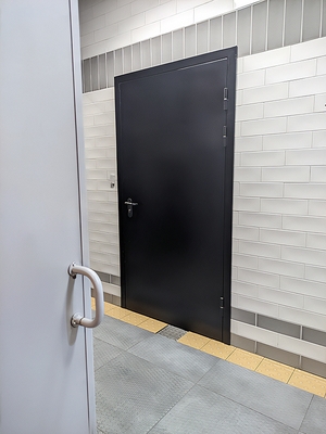 Черная одностворчатая дверь