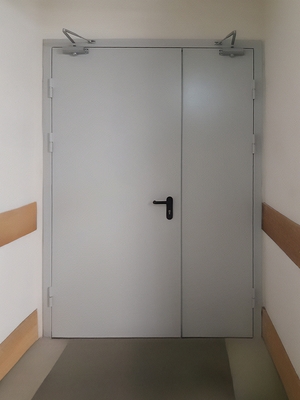 Полуторастворчатая дверь с двумя доводчиками Полуторастворчатая дверь с двумя доводчиками