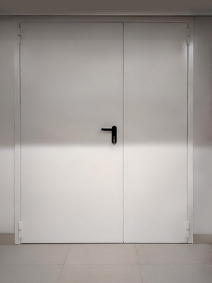 Белая глухая полуторная противопожарная дверь Белая глухая полуторная противопожарная дверь