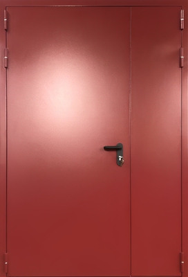 Полуторная глухая противопожарная дверь ДСН ei-60 окрас по RAL Полуторная глухая противопожарная дверь ДСН ei-60 окрас по RAL