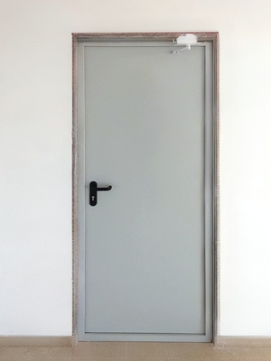 Стандартная пожаростойкая дверь