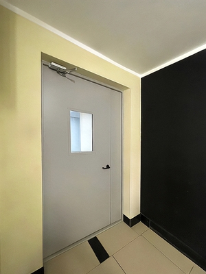 Тамбурная дверь с окном