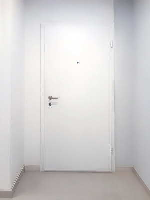 Техническая металлическая дверь Техническая металлическая дверь